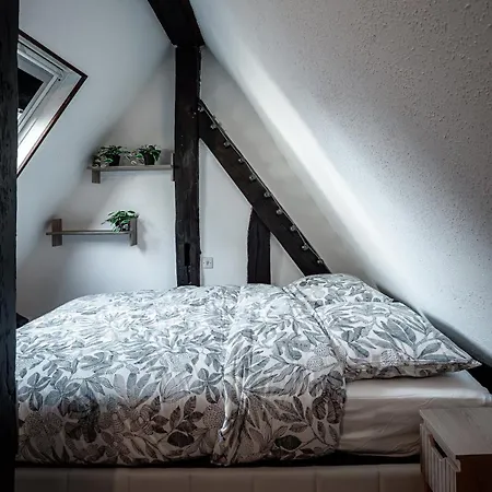Le Nid Vegetal Cocon Vegetal Perche Au Coeur De Rouen